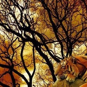 Meet your Posher, Christian